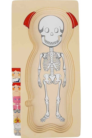 Woody Katmanlı İnsan Vücudu Giydirme Oyunu Ahşap Puzzle Yapboz