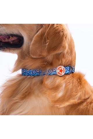 Pawstar Charm Boyun Tasması M Boyun Çevresi: 32 Cm X 48 Cm Çok Renkli