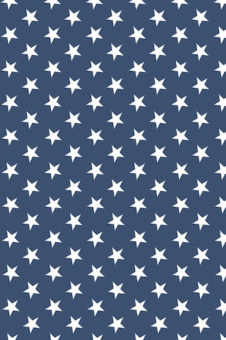 Premier Home Yıldız Desenli Fon Perde Lacivert 170 Lacivert