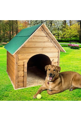 Reyo Soğuğa Suya Dayanıklı Lüks Büyük Boy Ahşap Köpek Kulubesi Yeşil