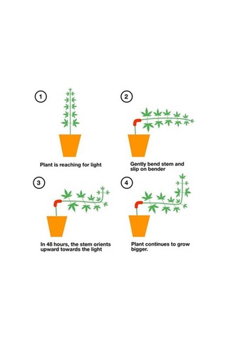 Dianziye 100 Adet Plastik Bitki Dal Bükücü Seti - 90 Derece Bahçe Sabitleyici, 3.5x1 Cm Kırmızı, Tomat Orkide Şekillendirici