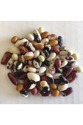 Geleneksel Mixed Fasulye Tohumları 10 Tohum