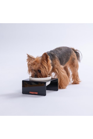 Siyah Tekli Seramik-pleksi Mama Ve Su Kabı-kedi Köpek Mama Su Kabı