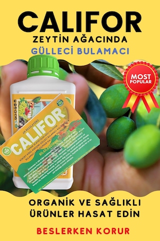 Gülleci Bulamacı 1 L