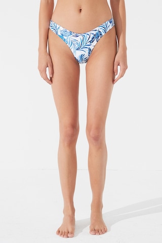 Penti Çok Renkli Paros V Bikini Altı