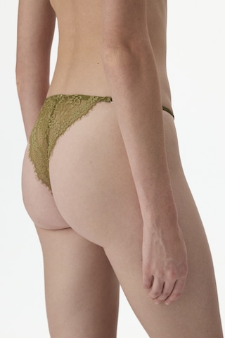 Penti Bej Micro Lace Brazilian Külot
