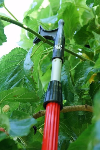 Meyve Toplama Seti - 3 Aparatlı - Sırıksız