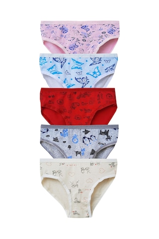 Hepsine Rakip 5Li Kız Çocuk Desenli Slip Külot Ekonomik Sevimli Bikini