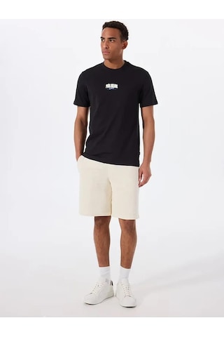 Onserhan Reg Ss Tee Renkli