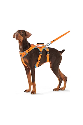 Interlaken Earthtech Slim 3.0 Köpek Göğüs Tasması Mavi - Turuncu L Mavi - Turuncu