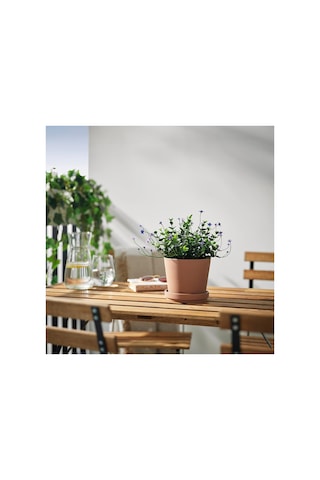 Yapay Bitki, Yeşil, 12 Cm, Çiçekli Lila, İç/dış Mekan Diğer