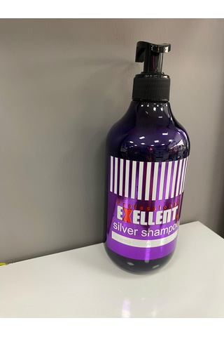 Exellent Silver Şampuanı