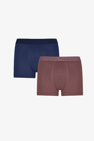 Penti Erkek Puantiye Desenli 2li Boxer Çok Renkli