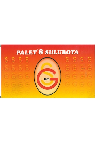 Palet Galatasaray Lisanslı 8 Renk Sulu Boya