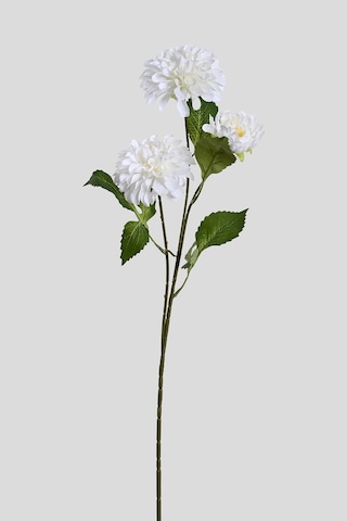 Beyaz Yapay Dahlia Yıldız Çiçeği 3 Dallı Lüx İpeksi Dokulu 75 Cm