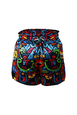 Dragondo Mt3037 Clown Muay Thai Kick Boks Şortu Çok Renkli