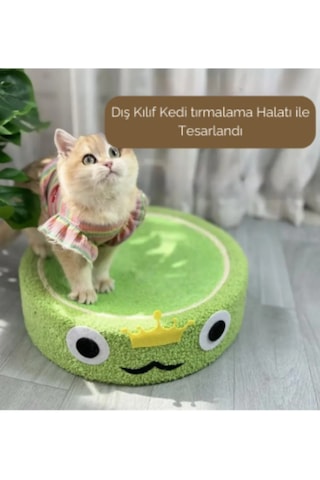 Kuara Kurbağa Kedi Tırmalama Alanı Eğlenceli ve Fonksiyonel Tasarım