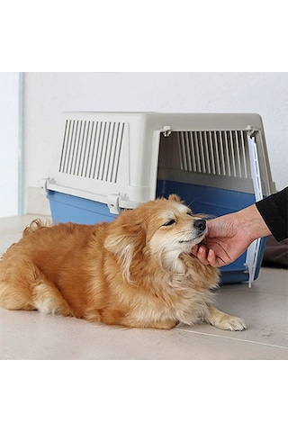 Ferplast Atlas 30 Kedi Küçük Irk Köpek Taşıma Kabı Mavi 40 x 60 x 38 CM