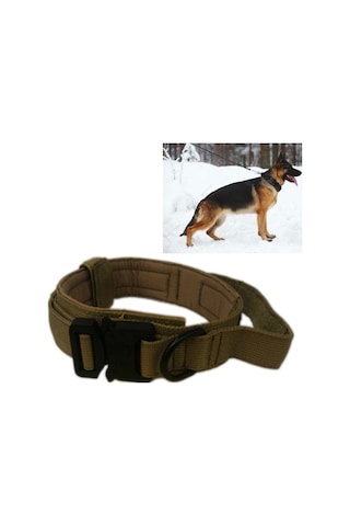 Evcil Hayvan Tasması For L Haki Turuncu