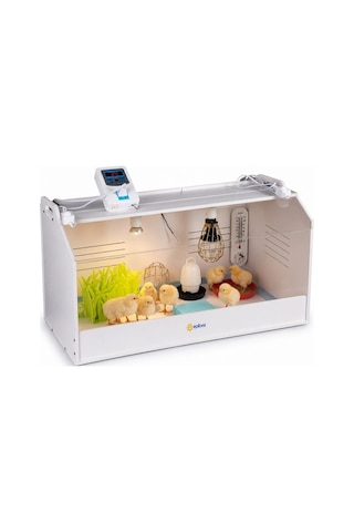 Civciv Büyütme Küvezi Dijital Termostatlı Ana Kucağı Ve Brooder Kafesi Bx-316464