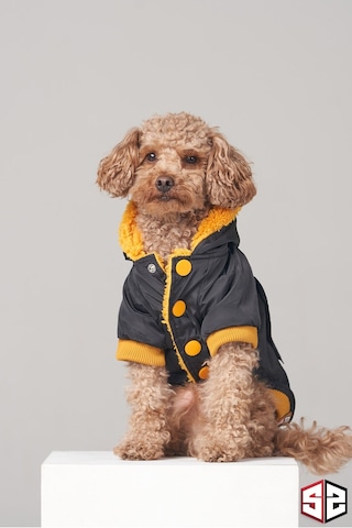 Köpek Kıyafeti - Su Geçirmez Köpek Montu, Köpek Yağmurluğu Siyah