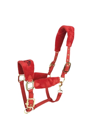 Homyl At Yuları Yastıklı Ayarlanabilir Kırmızı-m Kırmızı M