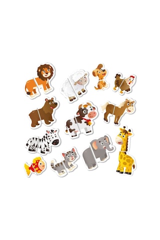Ilk Magnet Puzzle 12 36 Ay