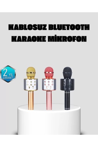 Home Taşınabilir Karaoke Mikrofon Bluetooth, Usb Ve Aux Girişli