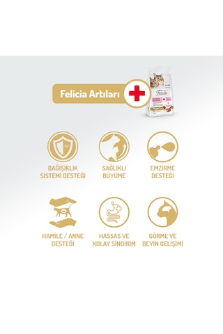 Felicia Kitten & Mother Kuzu Etli Düşük Tahıllı Yavru Kedi Maması 12 KG