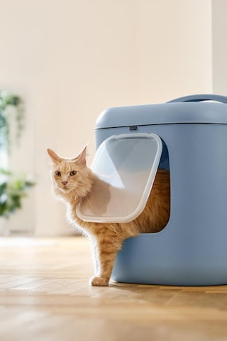 Biala Xl Kedi Tuvaleti Büyük Kediler Ve Çok Kedili Evler İçin İdeal