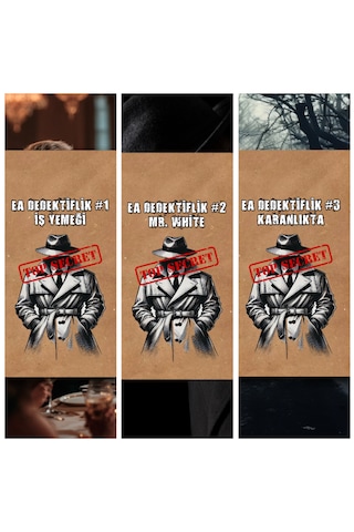 3lü Dedektif Oyunu Seri Katil Davası, Suçluyu Bulma, Çözülemeyen