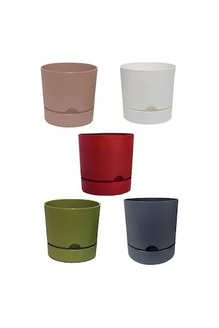 5 Adet Polıwork Saksı Begonya 12 Cm Renkli