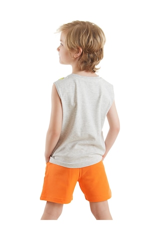 Denokids Kaykay Dino Erkek Çocuk T-shirt Şort Takım Renkli Çok Renkli