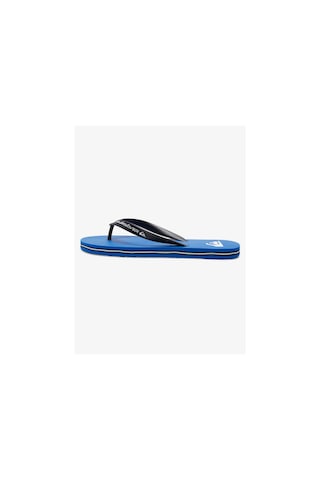 Quiksilver MOLOKAI CORE Erkek Ayakkabı AQYL101325-QK.BYJ1 Mavi
