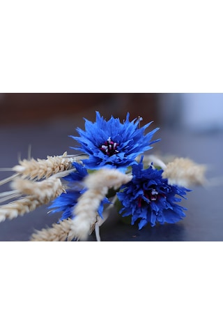 Roco Paper İtalyan Krapon Kağıdı Set Blueberry 180 Gr - 25x125