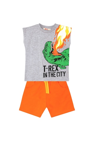 Denokids Mshb&g T-Rex Alev Erkek Çocuk T-Shirt Şort Takım Çok Renkli