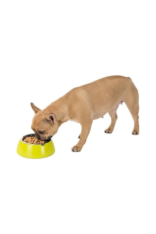 Ferplast Jolie Kedi Ve Köpekler İçin Çelik Mama Ve Su Kabı Yeşil 500 Ml S