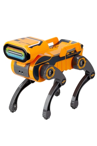 Robot Köpek Robo Dog Teslimat Robotu