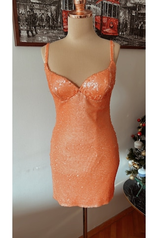 Chica Rosa Fashion Somon Pullu Mini Elbise