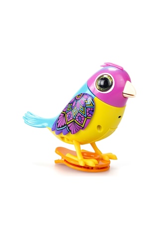 Digibirds Tekli Paket Seri 2 - Model 1