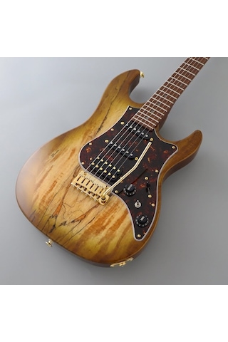 Fujigen Odyssey Elektro Gitar Eos2ew1rm/hcb