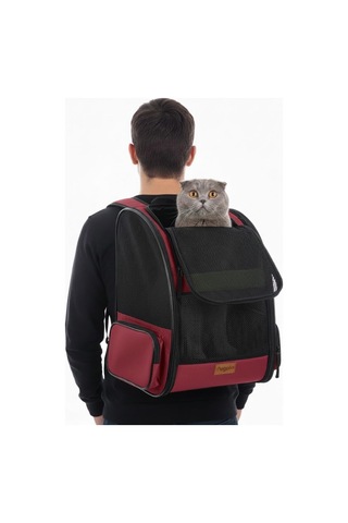 Airmove Premium Kedi Köpek Taşıma Çantası, Silinebilir, Yırtılmaz Fileli, Bükülmez Gövde, Sırt Çantası Tipi