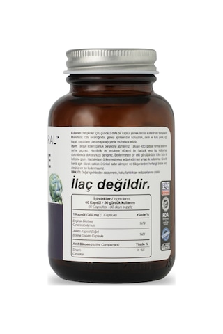 Sepe Natural ﻿Saw Palmetto Cüce Palmiye Ekstresi 400 MG 60 Kapsül