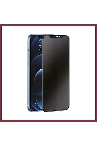 Storeşahin Samsung Uyumlu Galaxy S24 Plus 3d Antistatik Hayalet Cam Ekran Koruyucu Shn0720