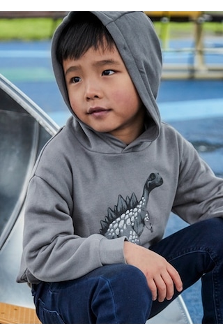 Mayoral Gri Erkek Çocuk Dinazor Baskılı Kapüşonlu Sweatshirt 4407 Gri