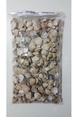 Emilysamy Deniz Kabuğu 500 G