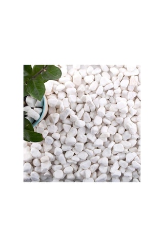Ekodoğa Dolomit Taş 15 Kg 1-2 Cm Beyaz Dolomit Taş Saksı Dibi Dekoratif Taş Teraryum Taşı Bahçe Taşı
