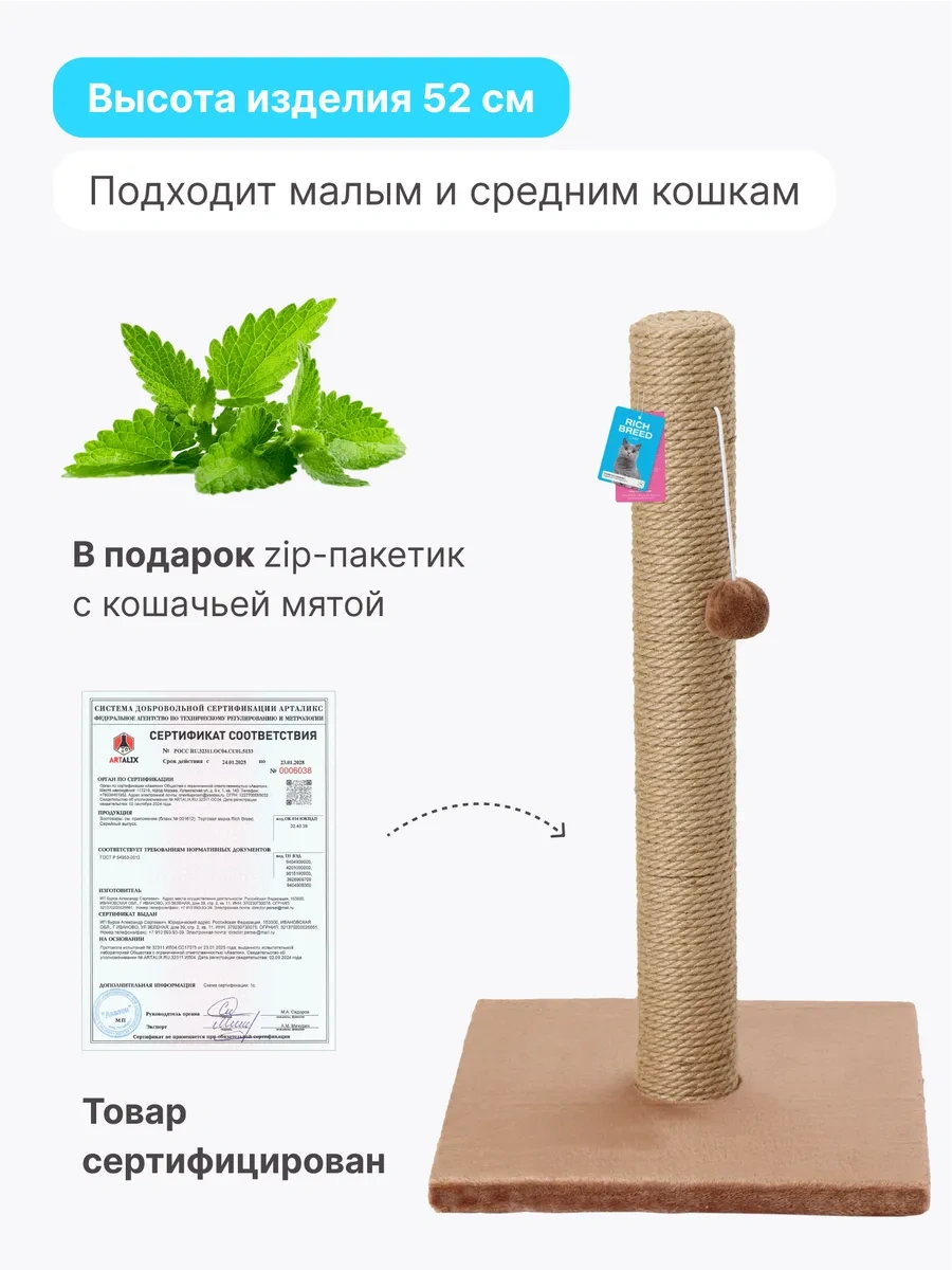 Rıch Breed Kedi İçin Tırmalama Direği Ayaklı Masa 37111384