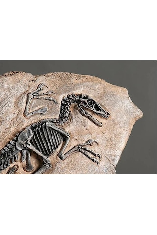 Vintage Dinozor Fosil Reçine Heykeli Retro Tarzda Minyatür Kapalı Alan Dekorasyonu Ve Koleksiyon Parçası Eşsiz Hediyelik Ve Hatıra Objeleri