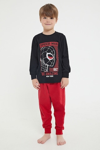 Spıder-Man Erkek Çocuk İkili Takım
